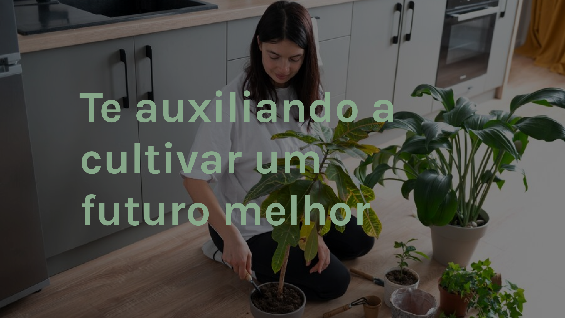 imagem 5